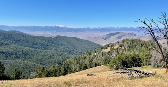 Continental Divide Trail: Montana-Idaho Section 8