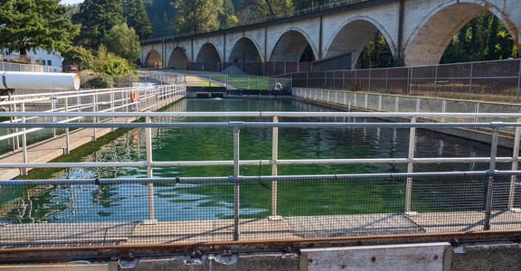 Bonneville Fish Hatchery
