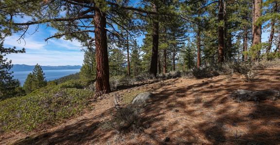 North Canyon Overlook
