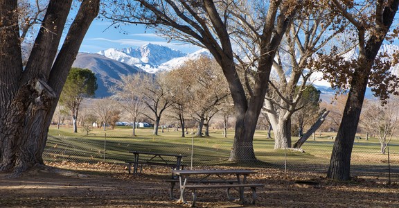 Brown's Town Campground