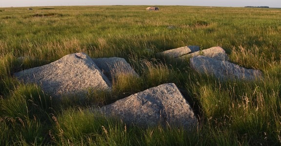 Touch The Sky Prairie
