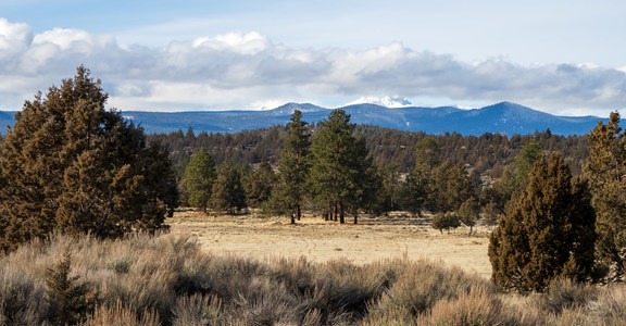 Sage Flat + Juniper Loop Trail
