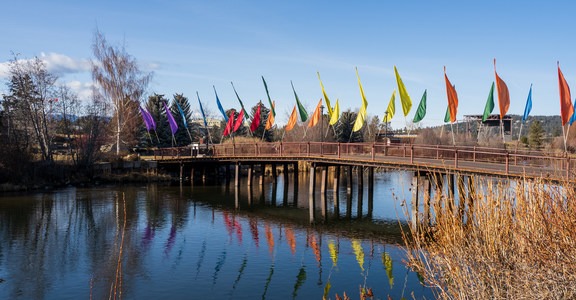 Deschutes River Trail (Loggers Loop)