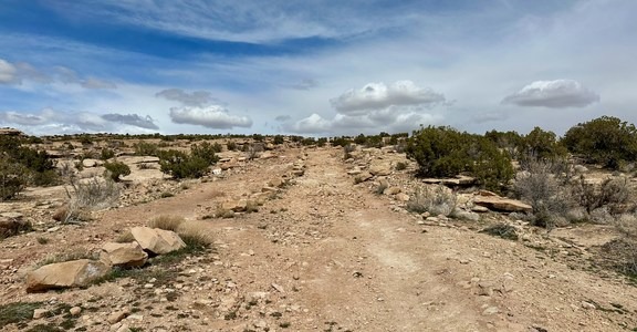 Copper Ridge Dinosaur Trackway
