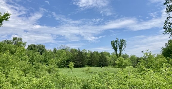 Sumac and Meadowlark Loop