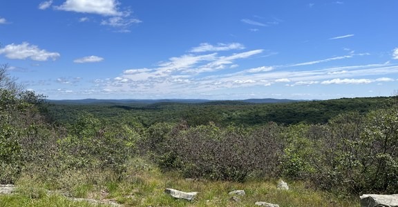 Charcoal Burners Loop