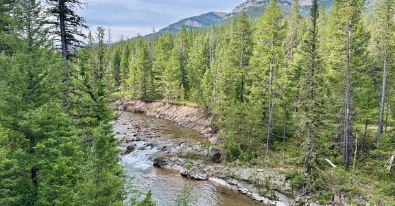 Continental Divide Trail: Straight Creek Alternate