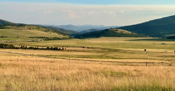 Continental Divide Trail: Montana-Idaho Section 20 (Ley Alternate)