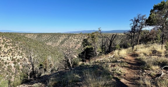 Pinyon Point Loop