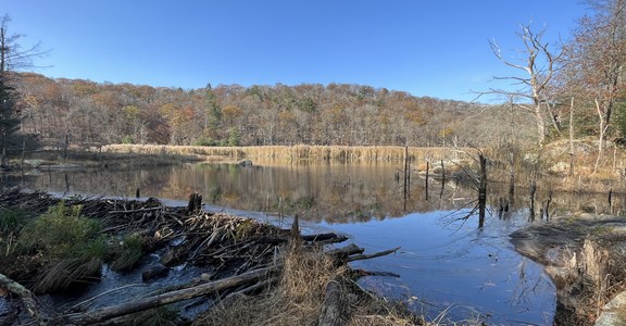 3 Lakes - Appalachian Trail Loop