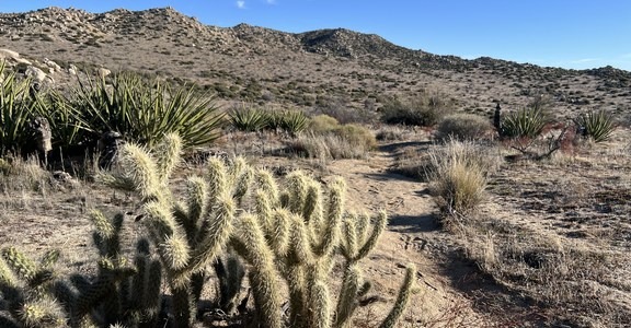 Wilson Peak via Culp Valley