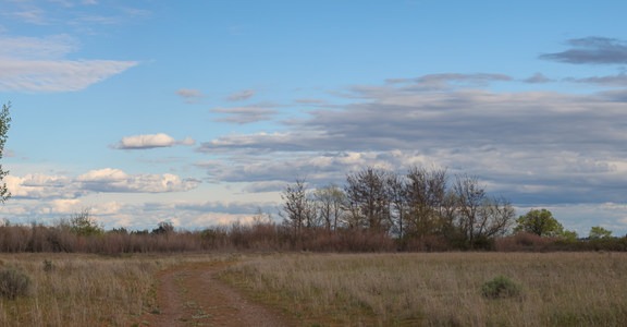 Bateman Island Trail