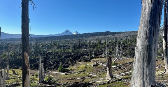 Pacific Coast Trail: Mount Washington Wilderness