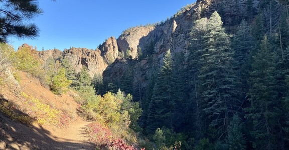 Columbine and Spring Creek Trail