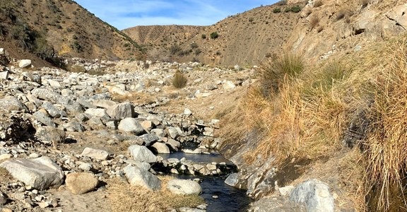 Dough Flat to Frazier