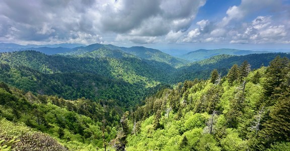 Appalachian Trail: Newfound Gap to Davenport Gap