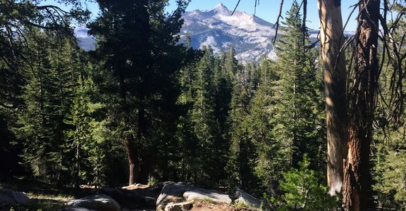 Elizabeth and Cathedral Lakes Loop