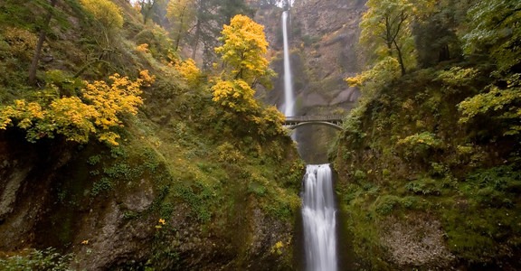 Multnomah Falls + Lodge