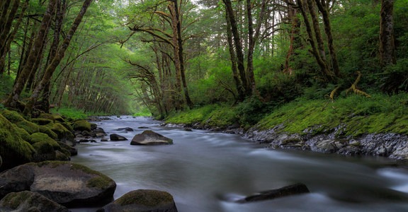 Alder Glen Recreation Site