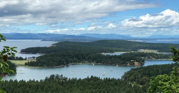 San Juan Island: Young Hill