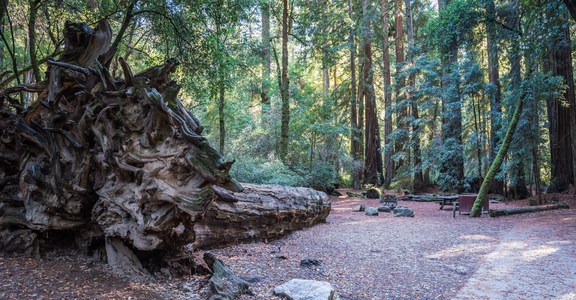 Sempervirens Campground