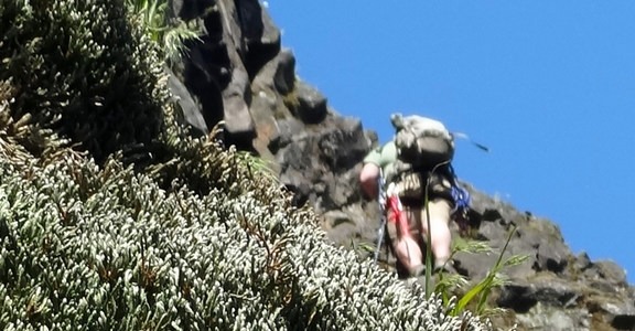 Rooster Rock Climbing Crag