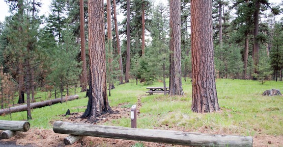Ochoco Divide Campground
