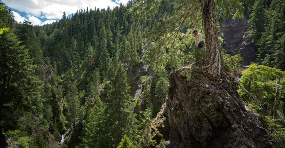 Shangri-La (Dinah-Mo) Falls Hike