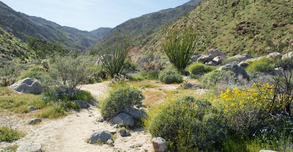Hellhole Canyon Trail to Maidenhair Falls