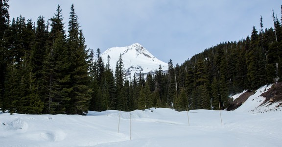 Heather Canyon Ski + Snowshoe Trail