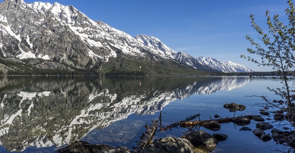 Jenny Lake Boat Tour