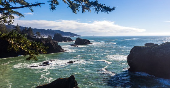 Thunder Rock Cove to Spruce Island Hike