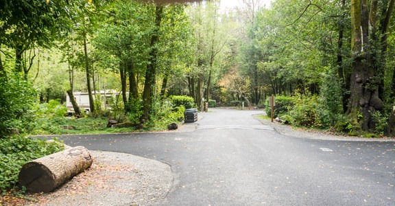 Alfred Loeb State Park Campground