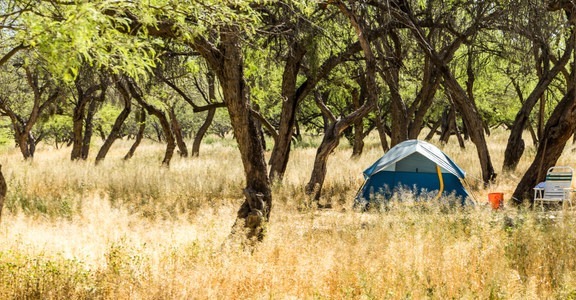 Coon Bluff Campground