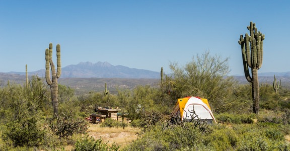 Ironwood Tent Sites