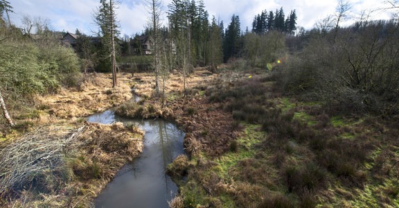 North Johnson Creek Trail