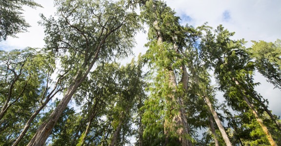 Waimanalo Bay Beach Park Campground