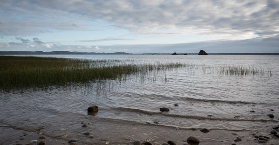 Pinnacle Rock Campground, Willapa Bay National Wildlife Refuge
