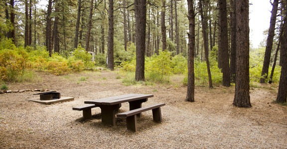 Junction Creek Campground