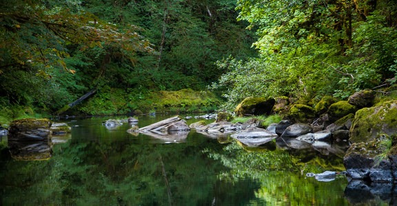 Fall Creek Trail Hike