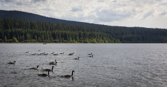Clear Lake Campground