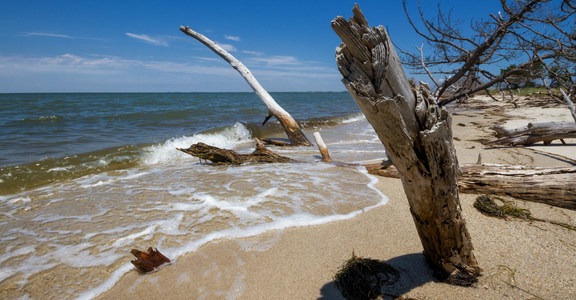 Jane's Island State Park