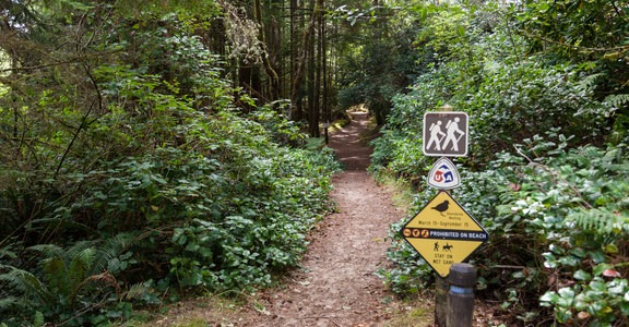 Tahkenitch Campground