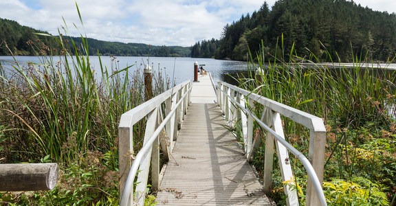 Tahkenitch Landing Campground