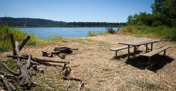 Reed Island State Park Campsite