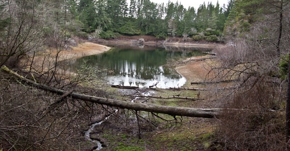 Alder Dune Campground