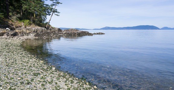 Sunset Beach, Washington Park