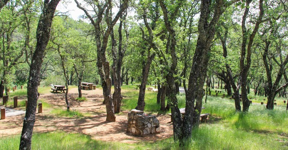 Junction Campground