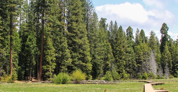 North Grove Campground