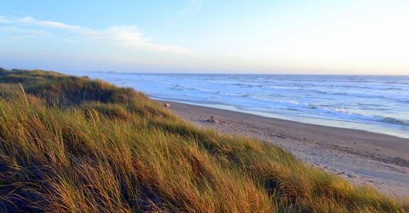 Bullards Beach State Park